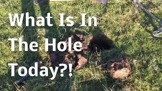 Metal Detecting UK, Whats In The Hole Today?!