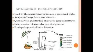 Chromatography