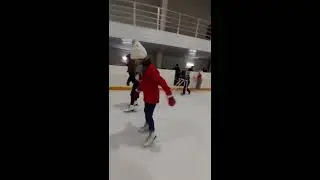 Ледовая арена. Крытый каток 