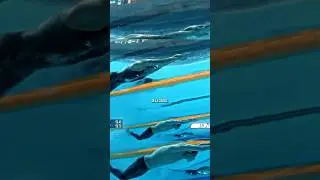 🤔 Le cas étrange de Michael Phelps…