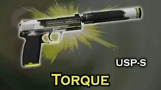 USP-S first round hidden ace | CS:GO | Cache