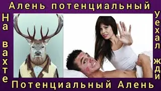Прозревший мужчина. Потенциальный Алень.  Мужское движение. Часть 11.