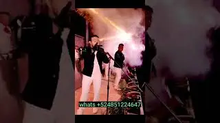 armando y los greys (mujer mujer)