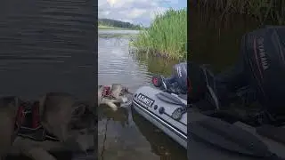 Аату. Начало водного похода 2024 #husky