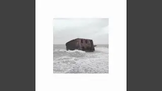 Fallen Crown