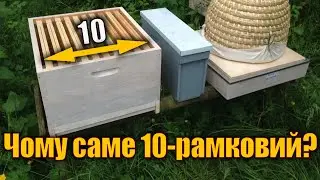 Hive systems. Which is better for us?