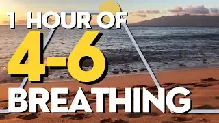 4-6 Breathing for Stress: Inhale 4, Exhale 6