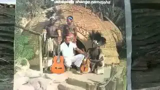Awungilobole (Whole Album)- Udokotela Shange Namajaha