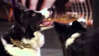 MEGA & BIBA - Britain's Got Talent 2011