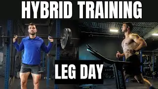 Hybrid Training Leg Day Workout: How Mnay Reps/Sets/Frequency