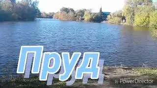 Ртищево.Пруд на ул.Овражной.