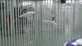 www.tbe.vn- Sơ lượt hệ thống RFID