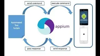 DT003 -How to install Appium using command prompt