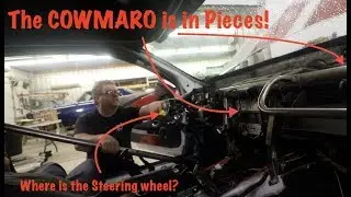 I RUINED THE COWMARO!!