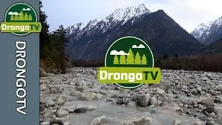 Новое интро канала DrongoTV
