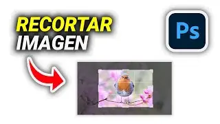 Cómo Recortar una Imagen en Photoshop | Con Atajo