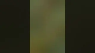 У лукоморья дуб зелёный