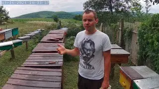 Обробка бджіл від кліща Сонячна воскотопки Які полоски кращі