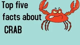 Top Five Facts About Crab...Keep Quiete Animal