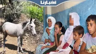 بغلة تقتل صاحبها ضواحي شفشاون وعائلة الضحية تستنكر الإهمال الطبي
