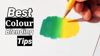 Top 3 Tips to Blend Colour Pencil like a PRO