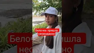 do you see the squirrel?