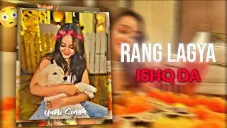 Rang Lageya Xml Preset 🦋 | Ae Inspired Alight motion preset XML