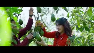 Desa Pendulum Devisa - Pameling Agro Nusantara