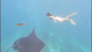 Swimming with Manta Ray @ Manta Point, Bali I Boss J