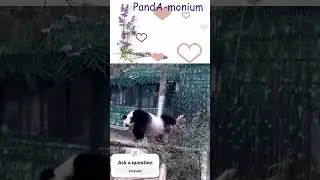 Pandemonium