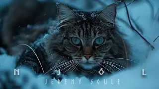 Jeremy Soule (The Northerner Diaries) — Njól (with moderate “Arctic Wind”) [Extended] (3 Hrs.)