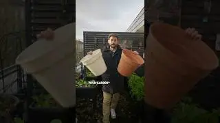 Gardening Tips for your empty containers 🪴💚 