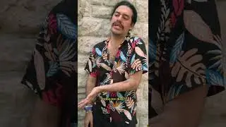 Pasajera feminista  