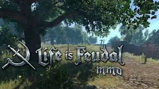 Life is Feudal: MMO #3 Дом есть, что дальше?