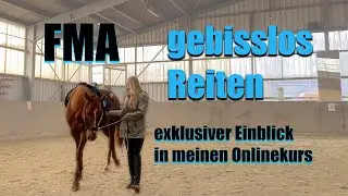 FMA | gebissloses Reiten mit Diamond - kommentiert | GUTSCHEINCODE für meinen Onlinekurses