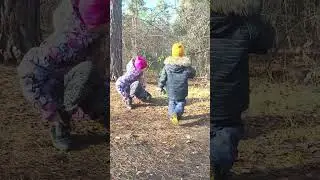 белки в парке Гагарина