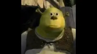 Top 5 Shrek