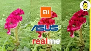 Realme 1 vs Redmi Note 5 Pro vs Asus Zenfone Max Pro M1 - Blind Camera test