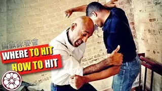 BEST WAY to FIGHT & TARGET Strikes in Self Defence