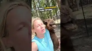 She hugged this camel but this happened 😆