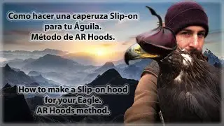 Como hacer una caperuza Slip-on para tu Águila (Sin sonidos)