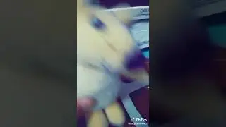 #pov