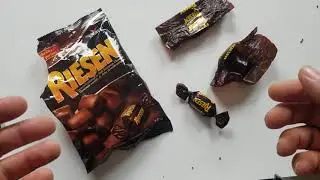RIESEN review