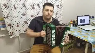 Гармонь Чайка 2 в продаже