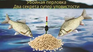 Убойная перловка   Два секрета супер уловистости