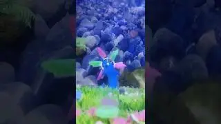 NAMA-NAMA WALISONGO