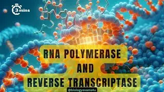 Difference between Reverse Transcriptase and RNA Polymerase|| Comparison