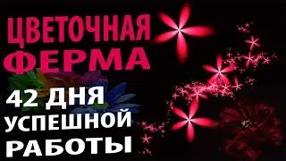 Цветочная ферма заказываю выплату и смотрим на статистику
