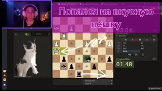 Играю в шахматы на Lichess