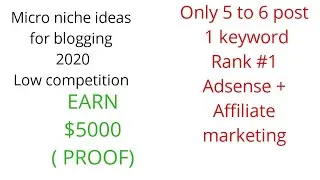 Most PROFITABLE MICRO NICHE TOPIC/IDEA FOR BLOGGING 2020 ( #1 on Google) Earn $5000 Adsense PROOF